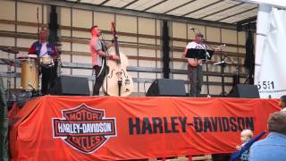 preview picture of video '5. Harley Run 2014 - Live Musik mit Red fat CAT'