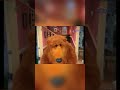 Bear S Nose Clogged And He Sneezes Bearinthebigbluehouse Shorts Youtubeshorts Ytshorts