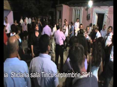 Nunta anului 2011 Iasi,Scobinti, Costel si Iulia  partea a doua.avi