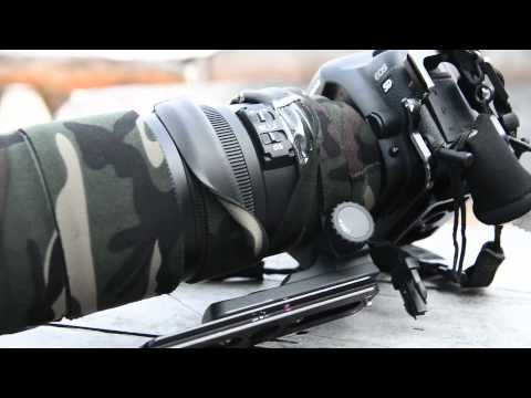 Sigma 120-300mm F2.8 OS super zoom - image samples