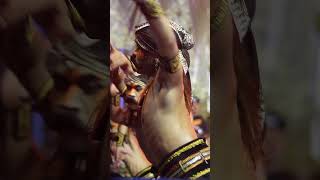 Download lagu muka Ganas warok WCB Senganenn Mas @Boby  #shortsfeed #shorts #warok mp3