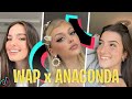 WAP x ANACONDA Remix (this dude named michael) | TIKTOK COMPILATION