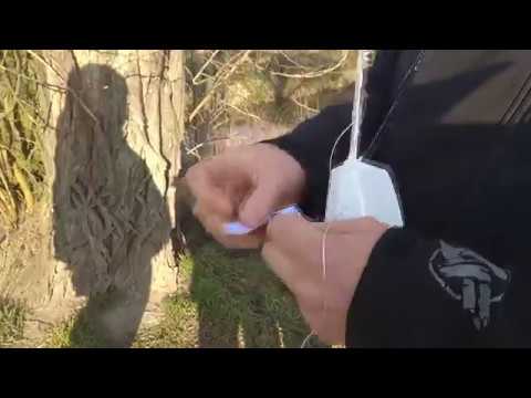 radiosonda N2050653 - Wrocław 12:00 20.02.2018