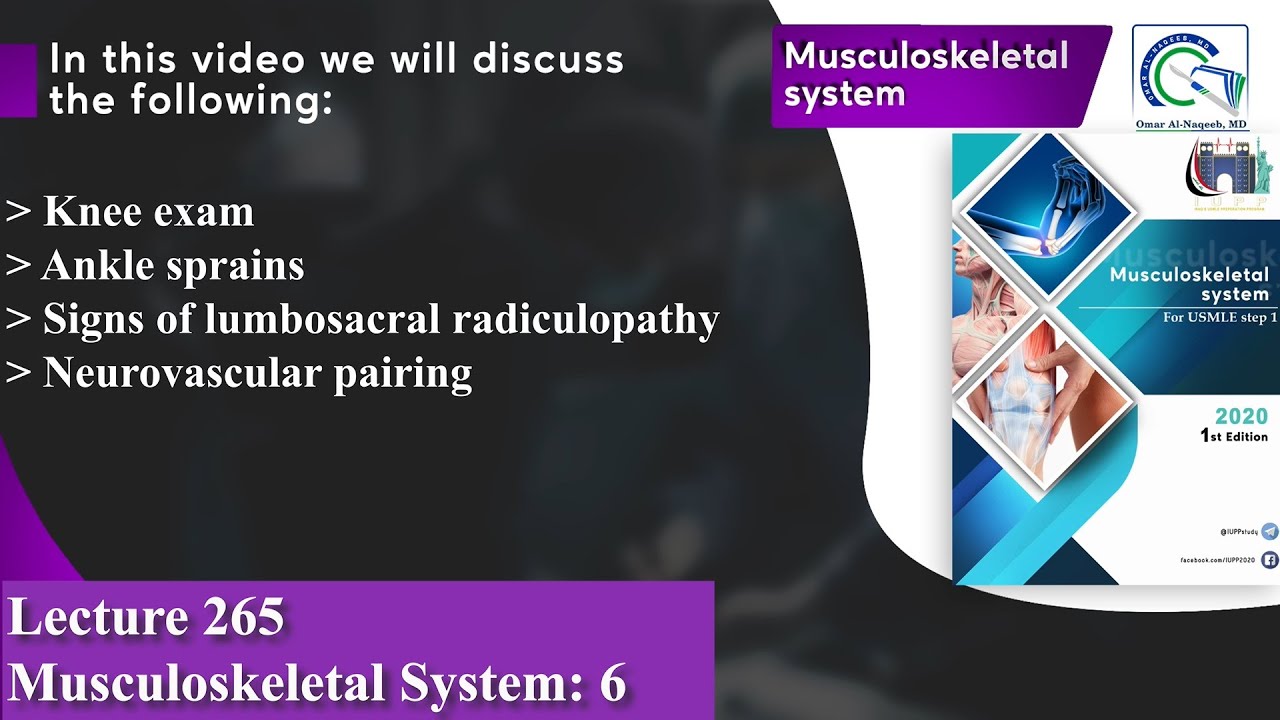 Knee exam | Ankle sprains | Signs of lumbosacral radiculopathy | Neurovascular pairing