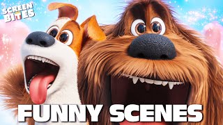 Download lagu Funniest Moments in The Secret Life Of Pets (2015) & The Secret Life of Pets 2 (2016) | Screen Bites mp3