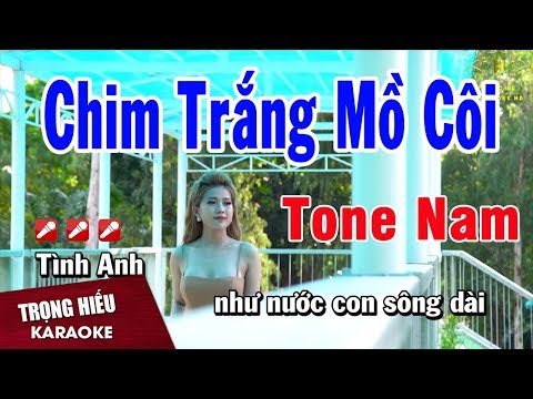 Karaoke Chim Trắng Mồ Côi Tone Nam Nhạc Sống | Trọng Hiếu