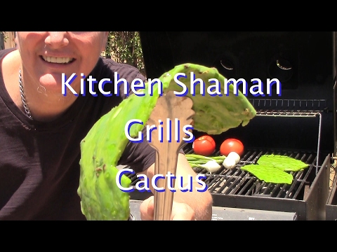 download lagu mp3 mp4 Cactus Grill, download lagu Cactus Grill gratis, unduh video klip Cactus Grill