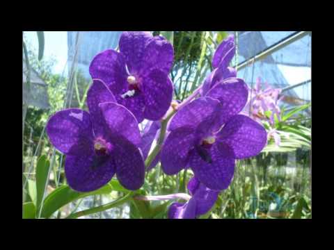 С днём рождения, Лада (Пермь)!!!