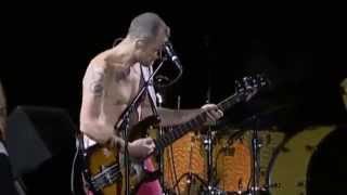 Red Hot Chili Peppers - Bass Solo + Don&#39;t Forget Me [Chorzów Poland 07&#39;]