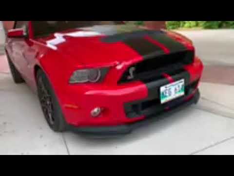 2014 Ford Mustang Shelby GT500 (CC-1634313) for sale in Winnipeg , Manitoba