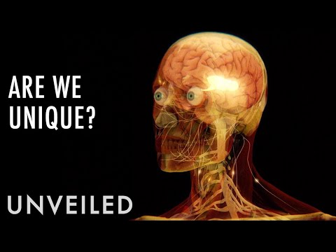 What's So Special About Human Beings? | Unveiled