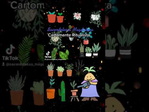 Elenco delle piante di protezione piante magiche