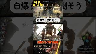 自爆する前に倒すぞ！ #clairobscurexpedition33 #expedition33  #エクスペディション33 #4k #hdr #4khdr #ゲーム実況 #ツバ