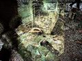 Sognando Chernobyl - Adriano Celentano..wmv ...