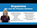 Demystifying Neurotransmitters Serotonin Dopamine And Beyond
