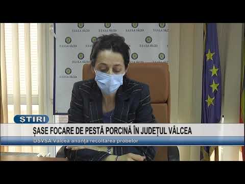 SASE FOCARE DE PESTA PORCINA IN JUDETUL VALCEA