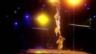 Monkeys Hanging Around