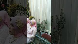 Download lagu Among tamu resepsi pernikahan mp3