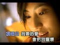 戴佩妮 Penny Tai - 你要的愛 The Love You Want (官方完整KARAOKE版MV)