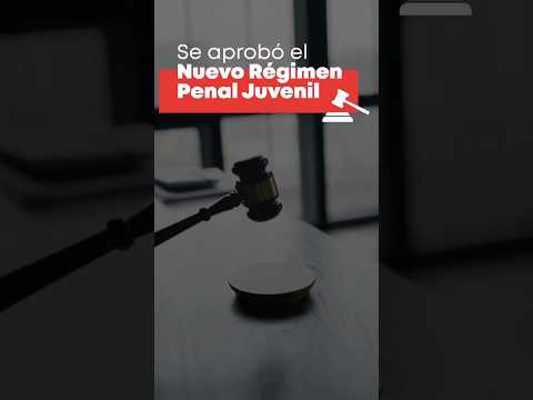 La reforma del Régimen Penal Juvenil (Ley 27.801)