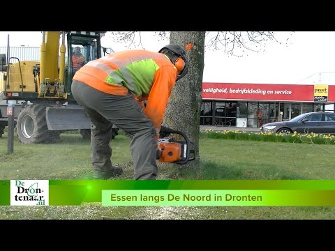 Renovatie van De Noord gaat op maandag 4 september van start Renovatie van De Noord gaat op maandag 4 september van start
