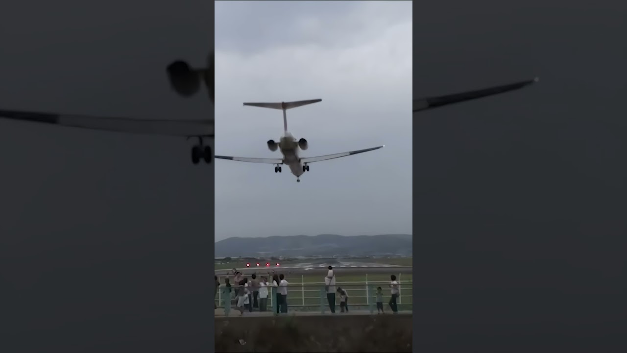 (昔の動画を高画質化)伊丹空港・JAL、MD-81が着陸(2009年・手振れ大注意) #shorts #飛行機 #airport