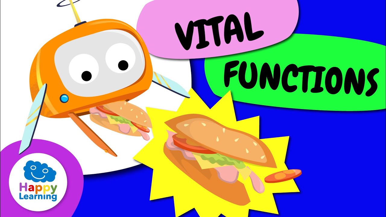Play and Learn: VITAL FUNCTIONS | Educational Videos for Children | @HappyLearningENG