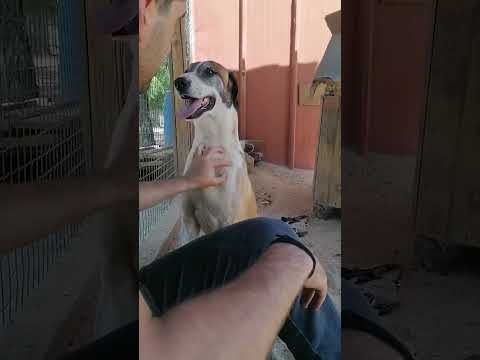 Vídeo de MR PARK