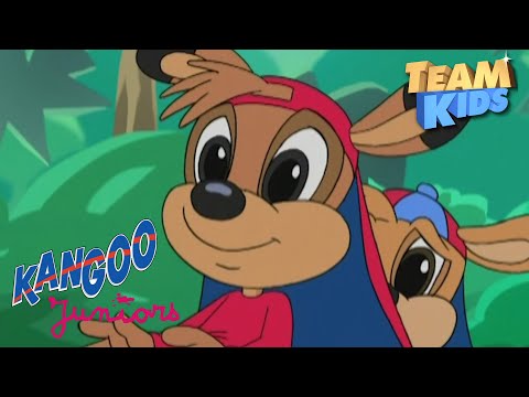 Kangoo Juniors - Épisode 75 - Bébés Kangoo