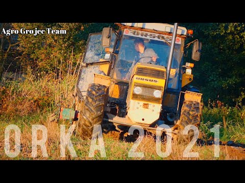 🔥ORKA 2021 Pod zboże🔥Niedźwiedź w akcji😍Ursus 1614 😍turbo🔥Kverneland VD 85