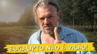 🌳 Does Eucalyptus Dry Out the Soil? This Video Will Surprise You!