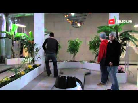 Teleclub: SCL Tigers spielen Minigolf