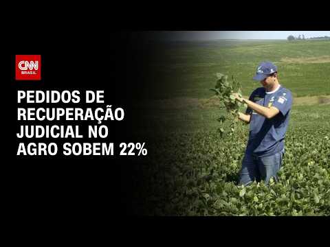 Pedidos de recuperação judicial no agro sobem 22% no 1º trimestre | CNN AGRO NEWS