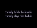 Amr Diab - Tamally Maak lyrics 