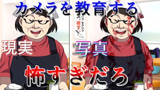 ただの間違い探しゲーじゃない【カメラを教育してください】