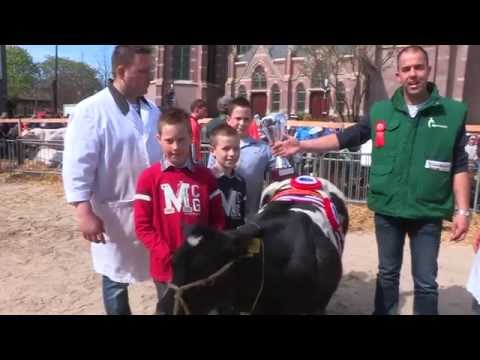 09-04-2014 Schagen - Paasvee