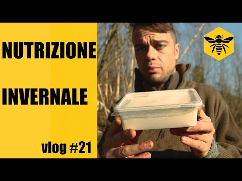 , title : 'vlog #21 Nutrizione invernale'