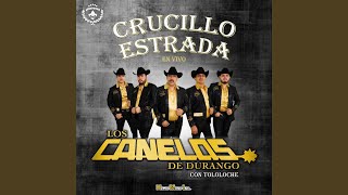 Crucillo Estrada (Tololoche)