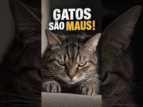 A verdade sobre gatos: Comportamento felino desvendado.