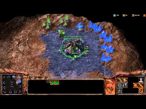 Wings of Trash - PsY vs ||||||||||||||||||||||| - ZvP