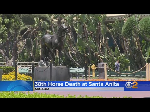 38th Horse Death At Santa Anita