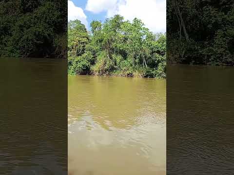 Rio Mearim Verdun Esperantinópolis Maranhão 🇧🇷