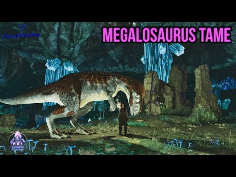 Aberration Megalosaurus Tame