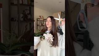 DESTROYING MY ORCHIDS TO MAKE JEWELRY 😭 #shorts