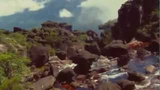 The Tallest Man on Earth 1904 - Music video