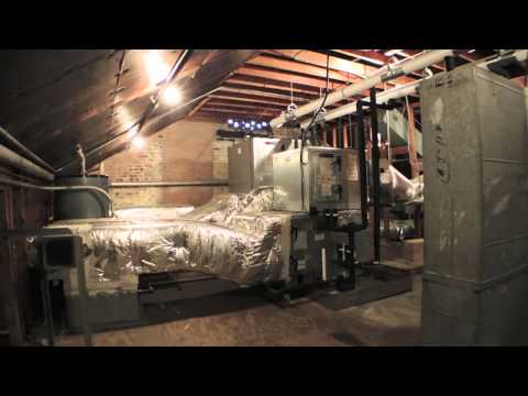 Visit Tennessee Williams’ first New Orleans apartment