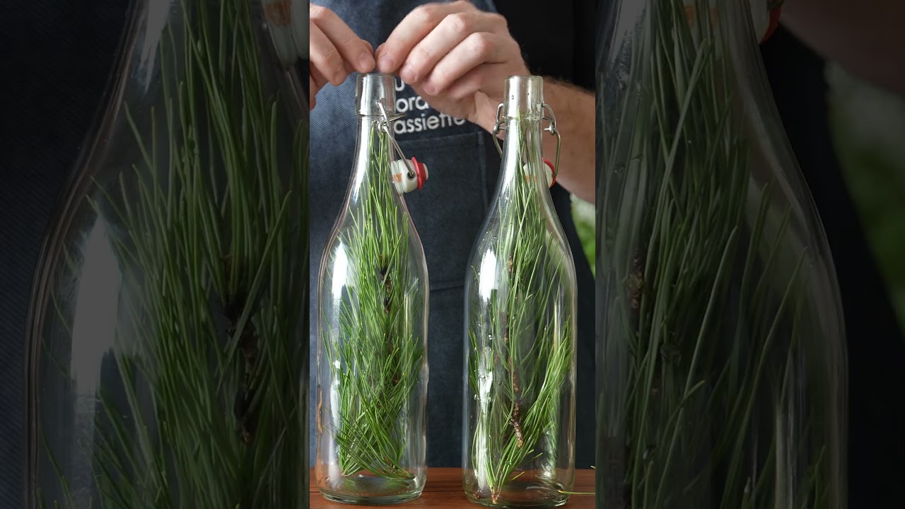 Soda d'aiguille de pin