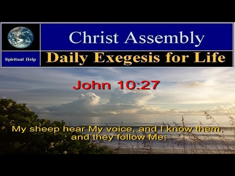 Day  450 | The Gospel of John | Daily Exegesis for Life | John 10:27