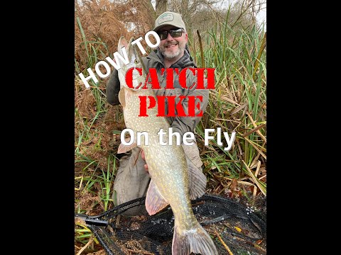 A beginners guide to Pike fishing #Fishing #Flyfishing