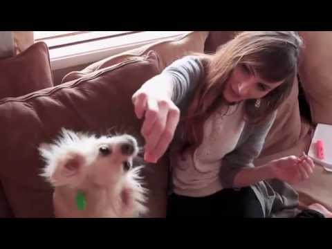 Cherry and her dog Aladdin playing